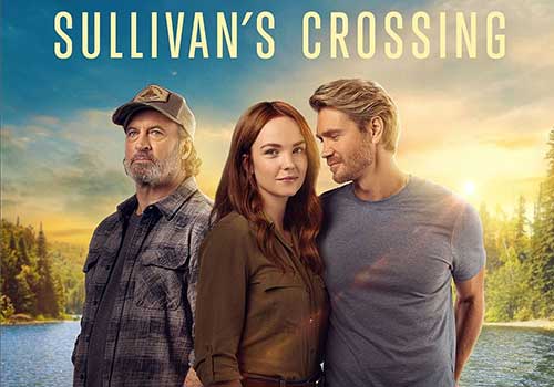 owl-carousel-video-image